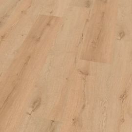 OAK TONI
